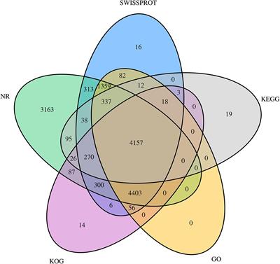 Transcriptomic Analysis of the Onchidium reevesii Central Nervous System in Response to Cadmium